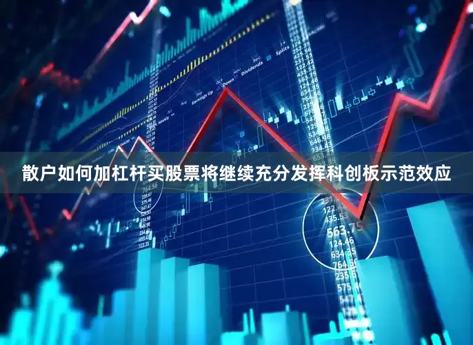 散户如何加杠杆买股票将继续充分发挥科创板示范效应
