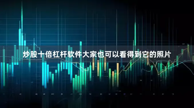炒股十倍杠杆软件大家也可以看得到它的照片