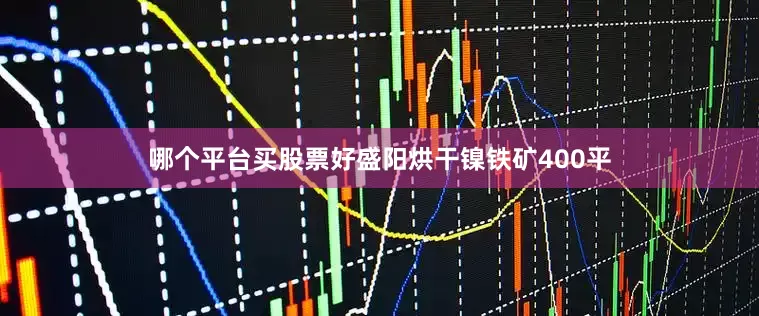 哪个平台买股票好盛阳烘干镍铁矿400平