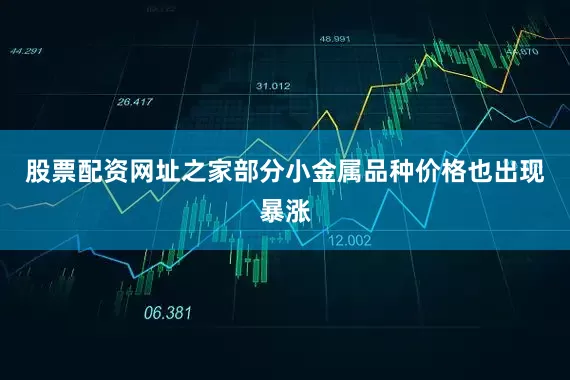 股票配资网址之家部分小金属品种价格也出现暴涨